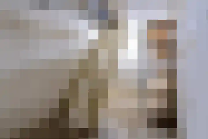 Dr. Poelslaan 56 Sittard thumbnail 21