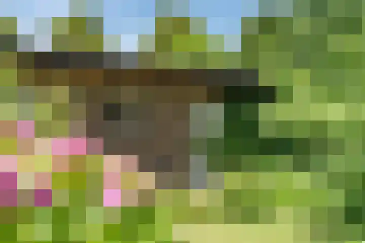 Dr. Poelslaan 56 Sittard thumbnail 24