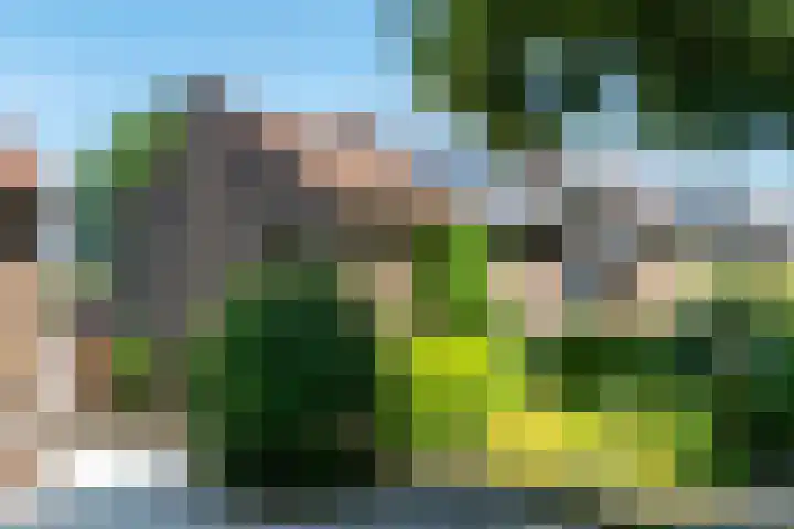 Dr. Poelslaan 56 Sittard thumbnail 27