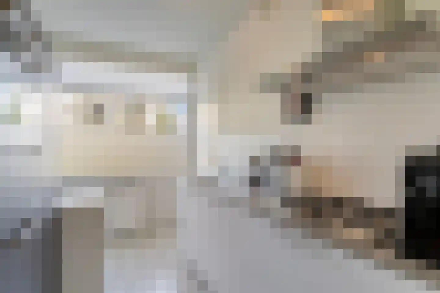 Dr Poelspad 3 Eindhoven thumbnail 20