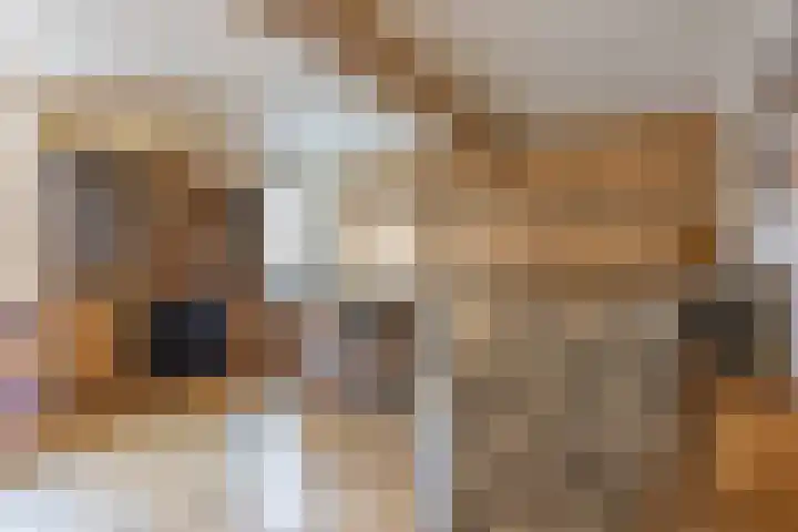 Dr. Poelsplein 11 Simpelveld thumbnail 5