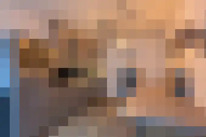 Dr. Poelsplein 11 Simpelveld thumbnail 6