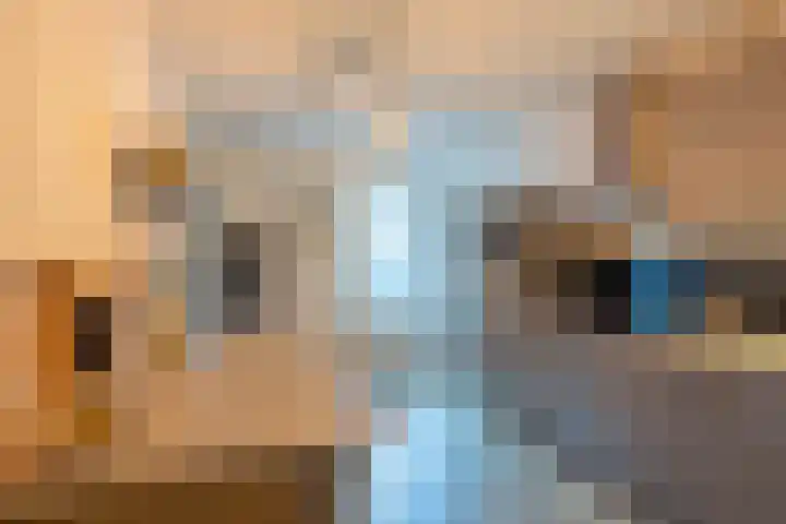 Dr. Poelsplein 11 Simpelveld thumbnail 8