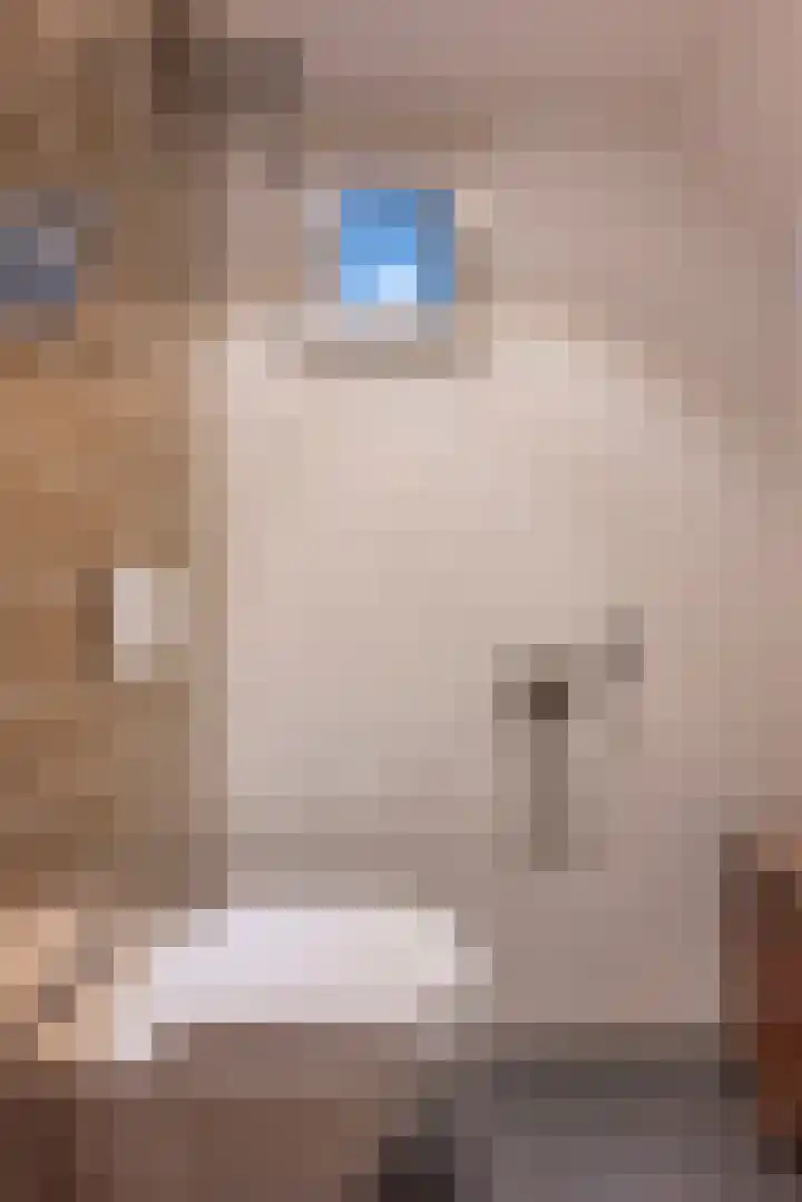 Dr. Poelsplein 11 Simpelveld thumbnail 9