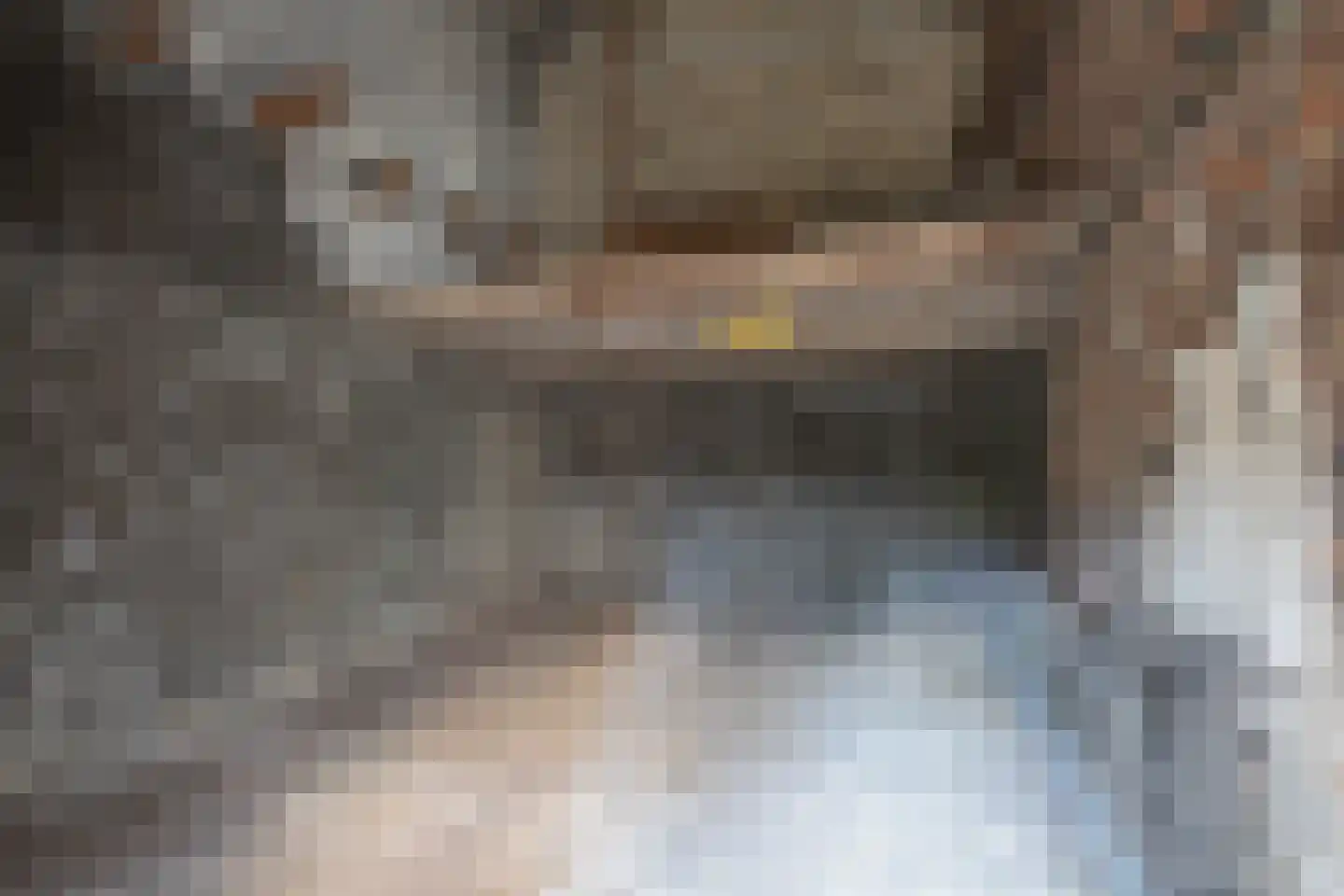 Dr. Poelsplein 18 Simpelveld thumbnail 10