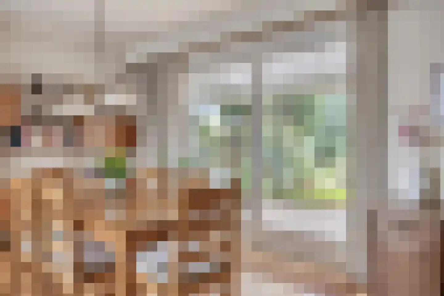 Dr. Poelsplein 6 Panningen thumbnail 14