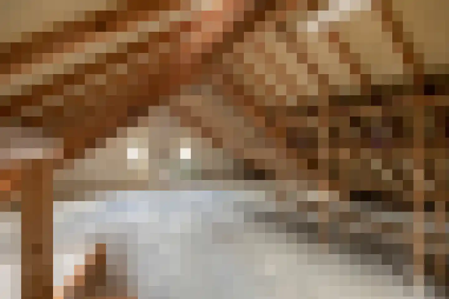 Dr. Poelsplein 6 Panningen thumbnail 29