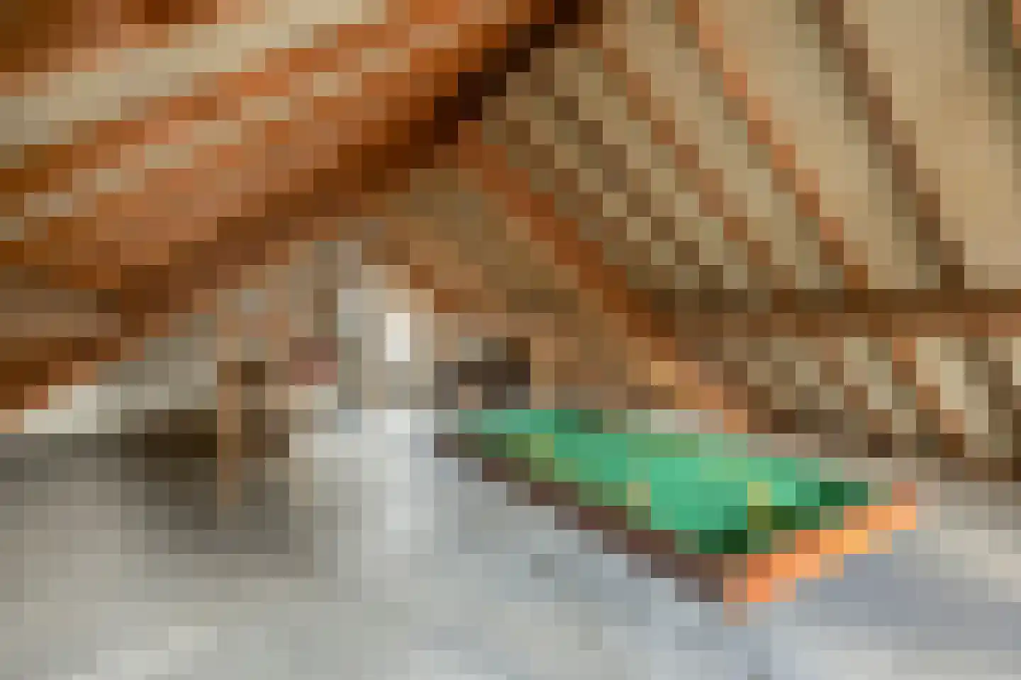 Dr. Poelsplein 6 Panningen thumbnail 30