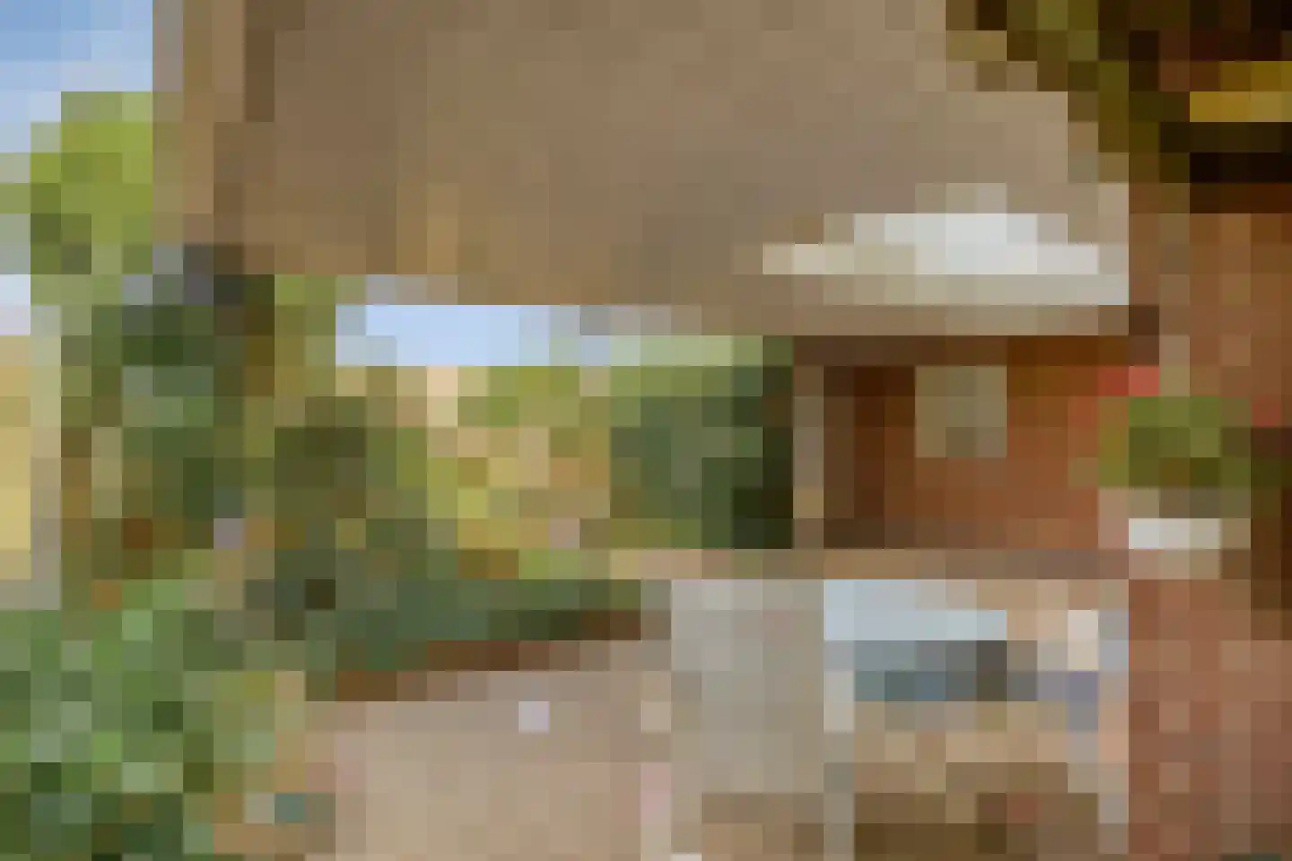 Dr. Poelsplein 6 Panningen thumbnail 35