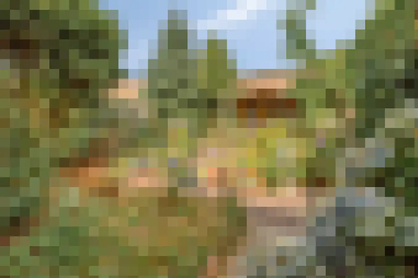 Dr. Poelsplein 6 Panningen thumbnail 36