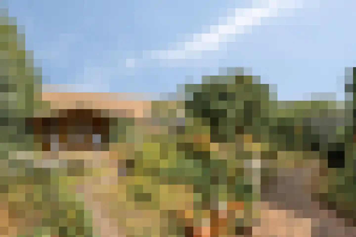 Dr. Poelsplein 6 Panningen thumbnail 37