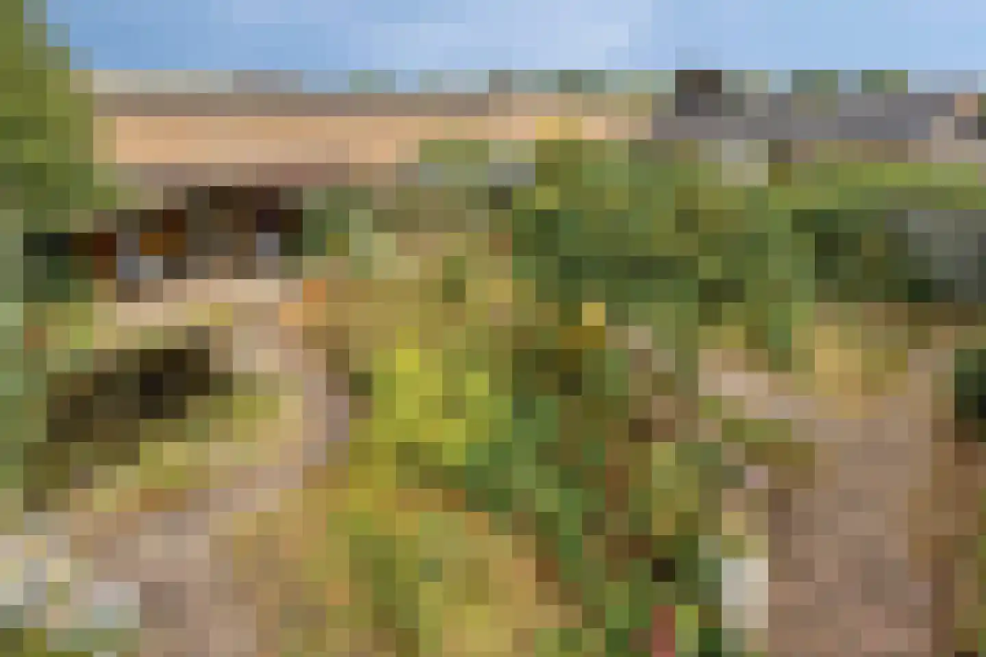 Dr. Poelsplein 6 Panningen thumbnail 38