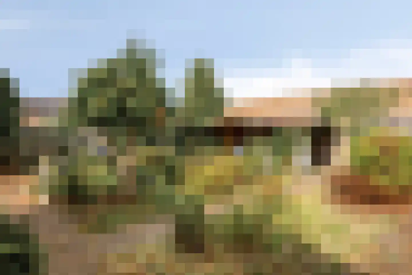 Dr. Poelsplein 6 Panningen thumbnail 39