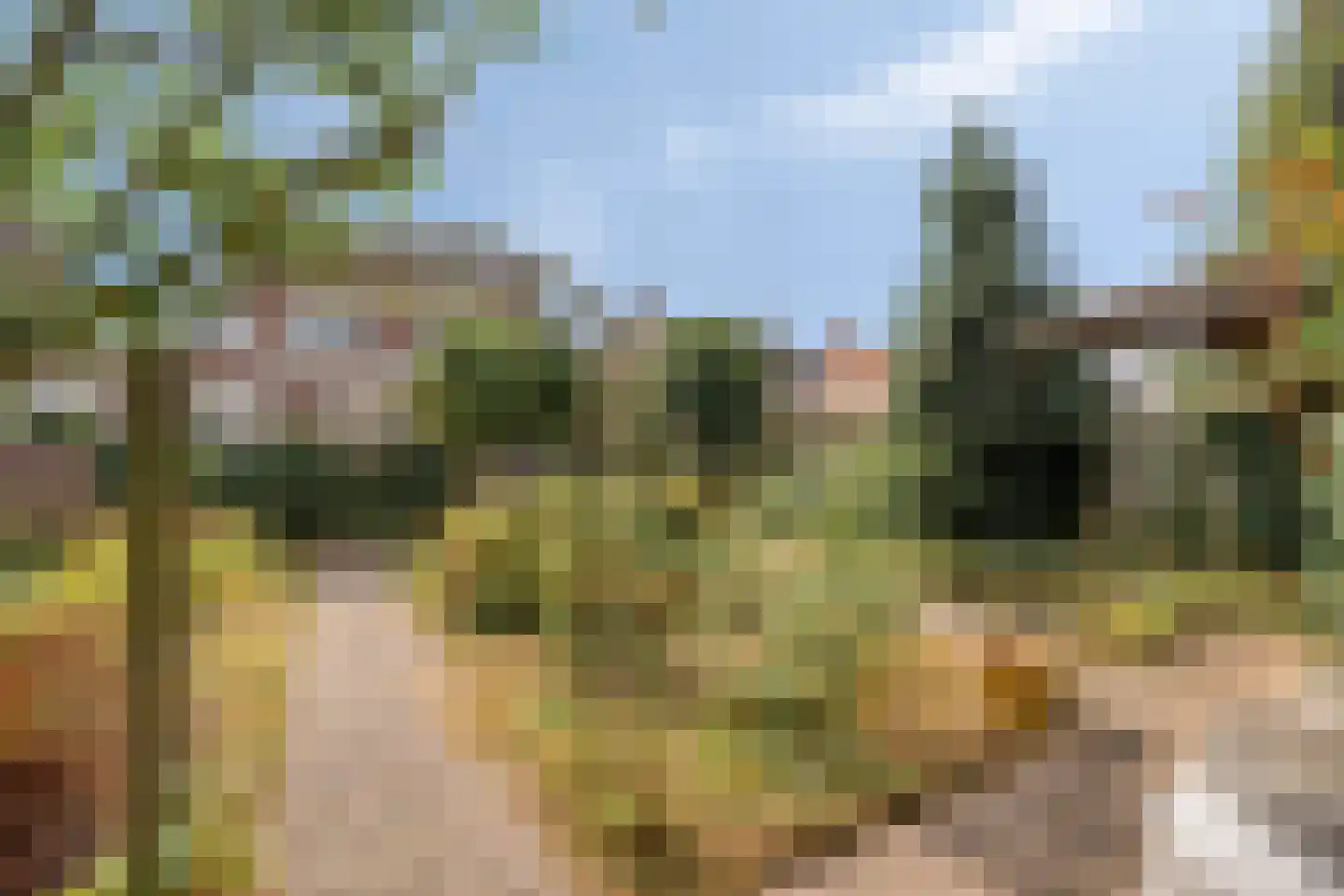 Dr. Poelsplein 6 Panningen thumbnail 40