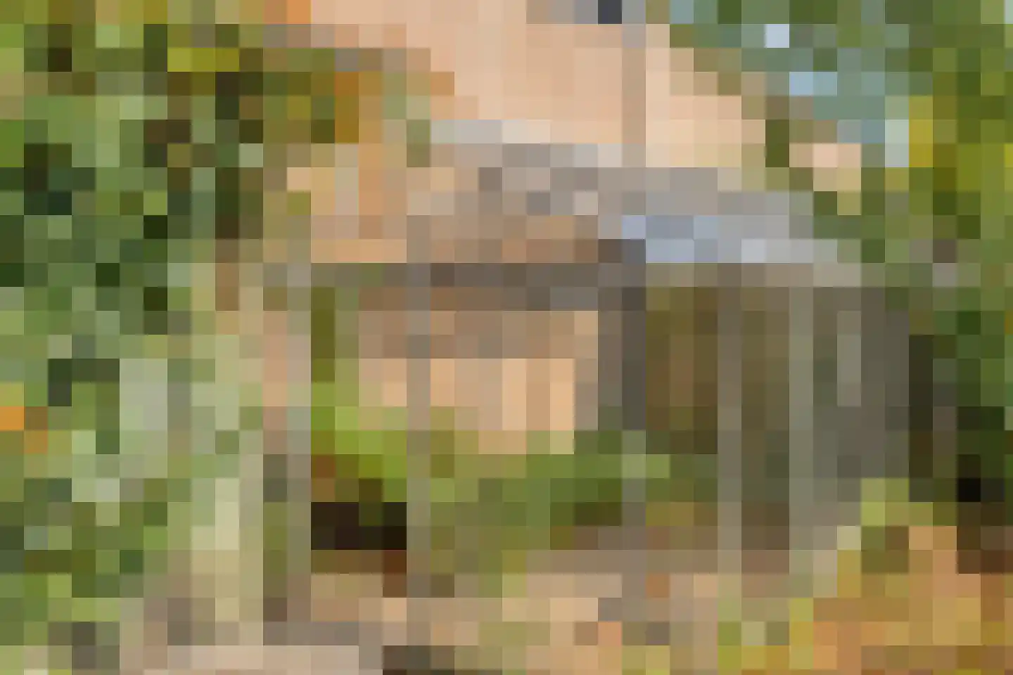 Dr. Poelsplein 6 Panningen thumbnail 41