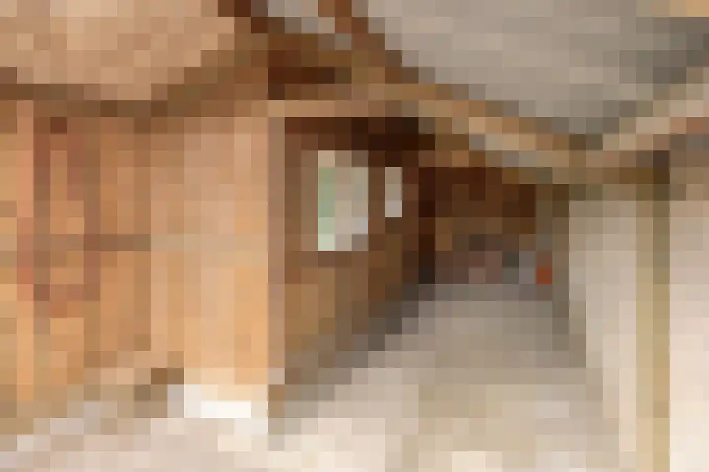 Dr. Poelsplein 6 Panningen thumbnail 42