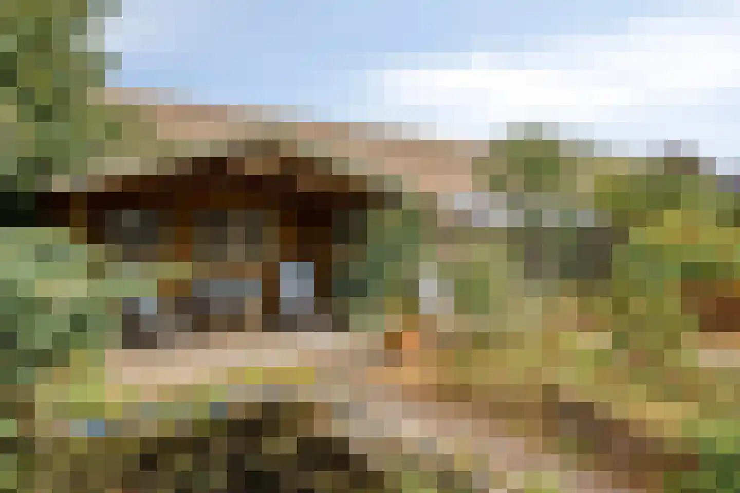 Dr. Poelsplein 6 Panningen thumbnail 43