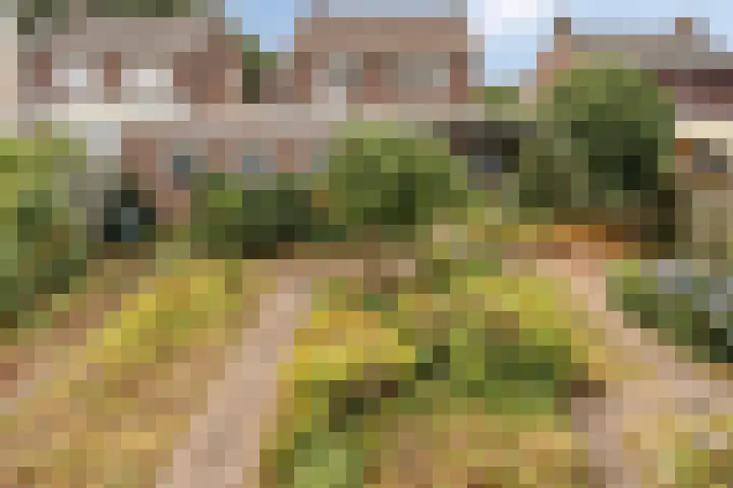Dr. Poelsplein 6 Panningen thumbnail 45