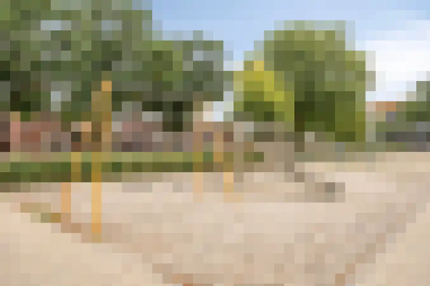 Dr. Poelsplein 6 Panningen thumbnail 52