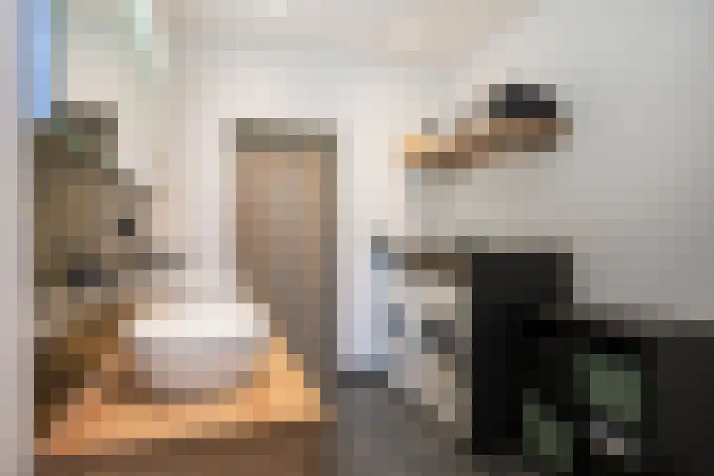Dr. Poelsstraat 10 Amstenrade thumbnail 23