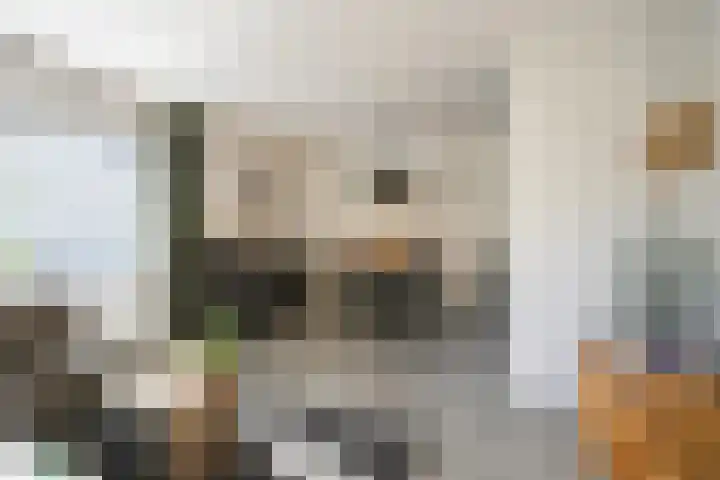 Dr. Poelsstraat 11 Eys thumbnail 11