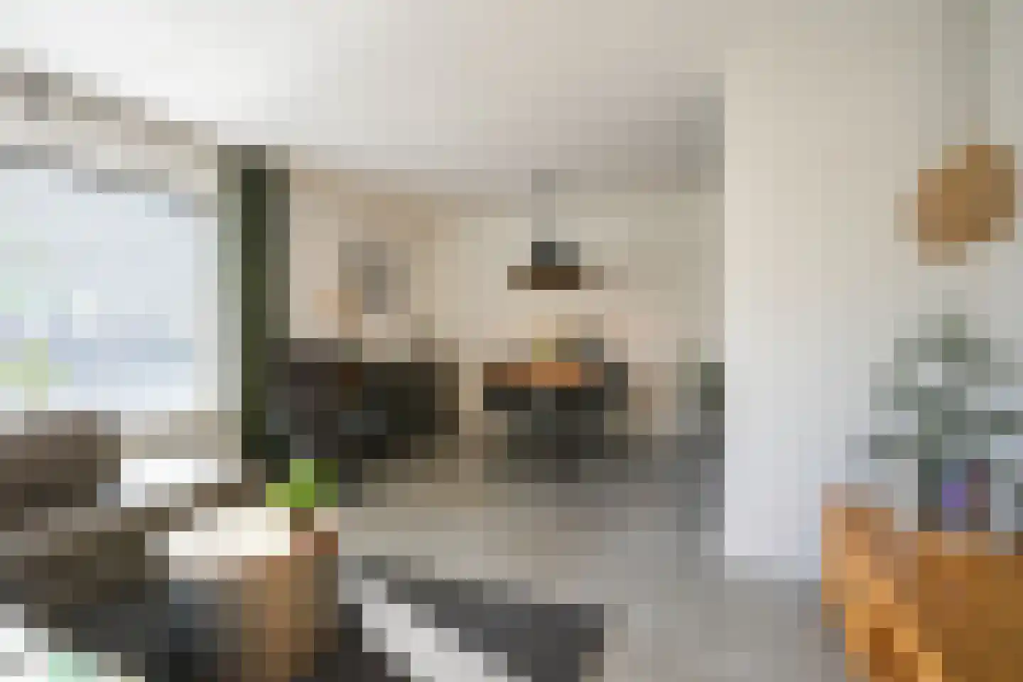 Dr. Poelsstraat 11 Eys thumbnail 11
