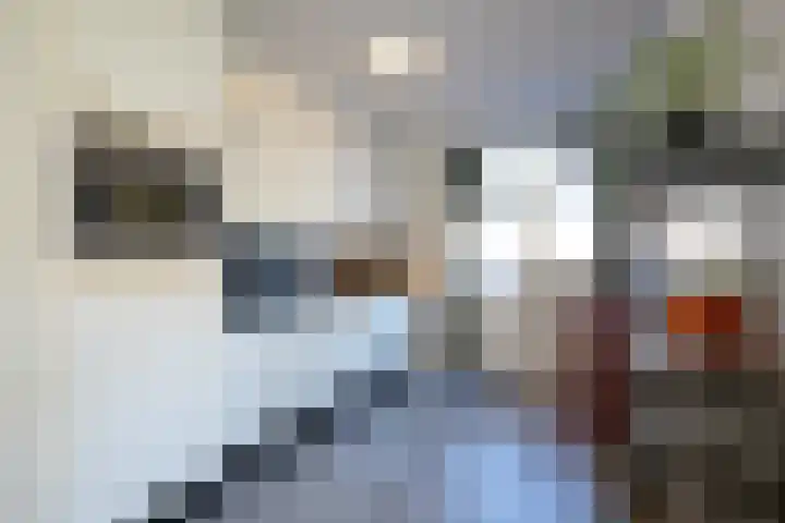 Dr. Poelsstraat 11 Eys thumbnail 15