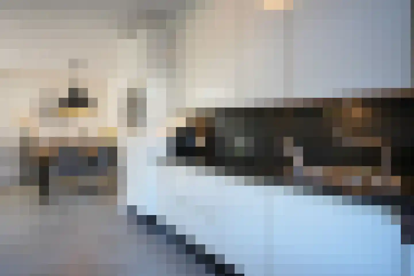 Dr. Poelsstraat 11 Eys thumbnail 17
