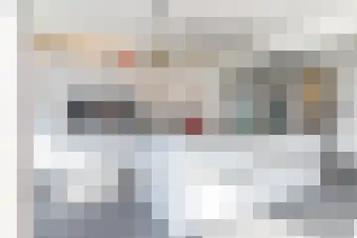 Dr. Poelsstraat 11 Schinnen thumbnail 11