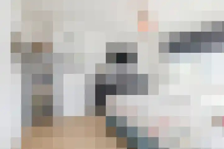 Dr. Poelsstraat 11 Schinnen thumbnail 16