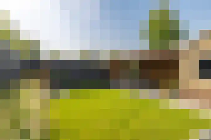 Dr. Poelsstraat 11 Schinnen thumbnail 25