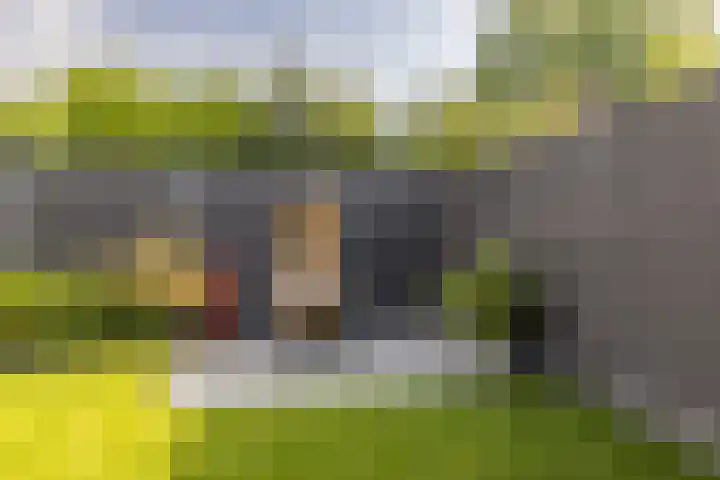 Dr. Poelsstraat 11 Schinnen thumbnail 27