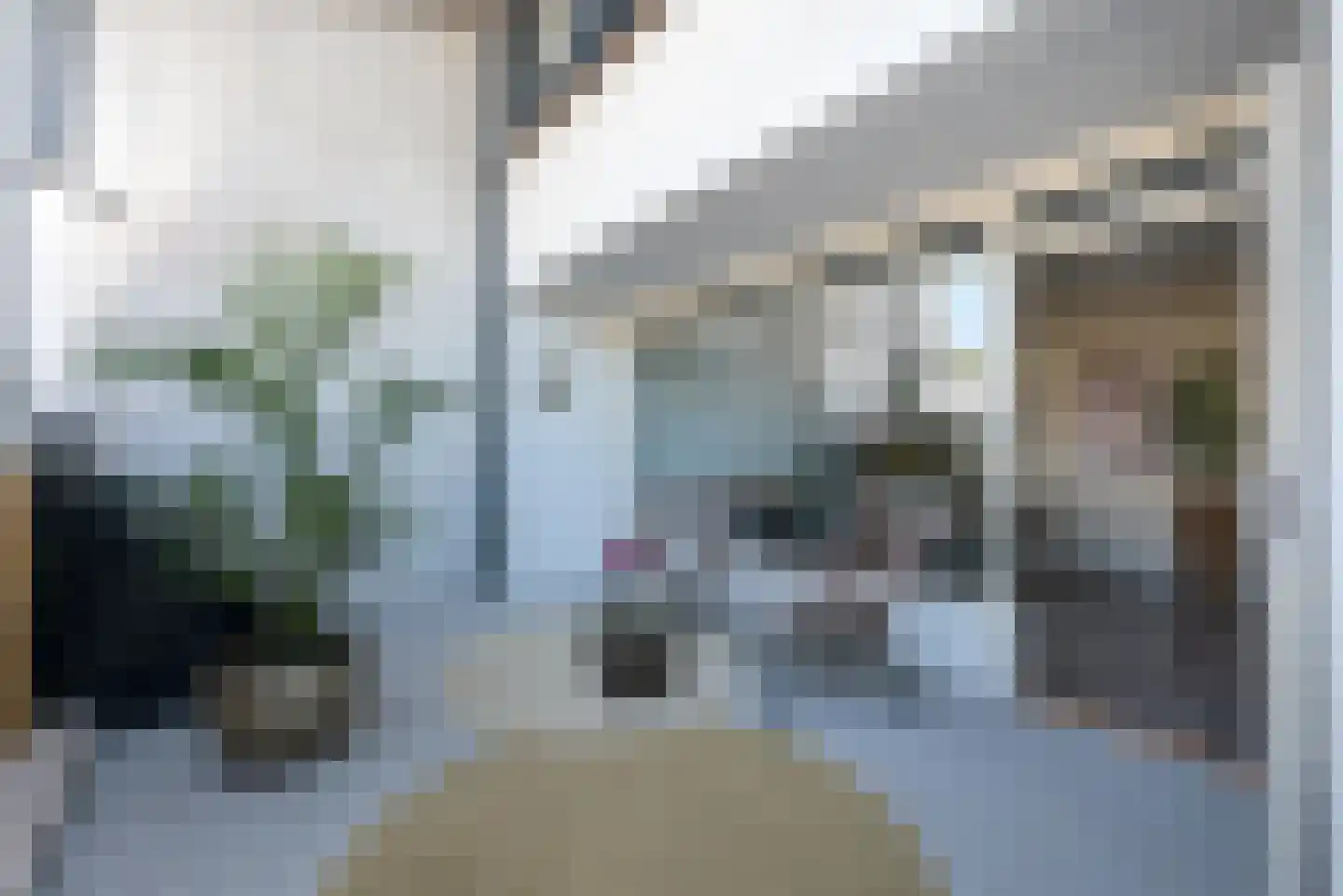 Dr Poelsstraat 13 Brunssum thumbnail 11