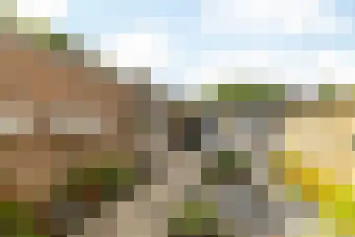 Dr. Poelsstraat 18 Hulsberg thumbnail 21