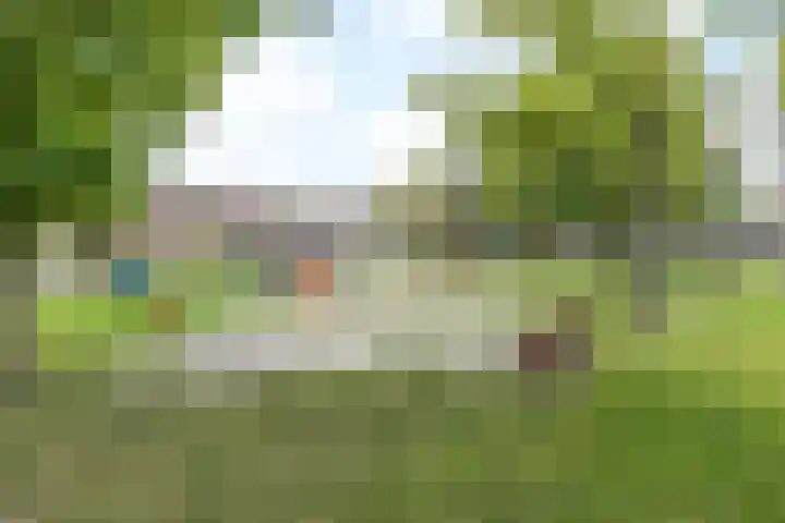 Dr. Poelsstraat 18 Hulsberg thumbnail 27