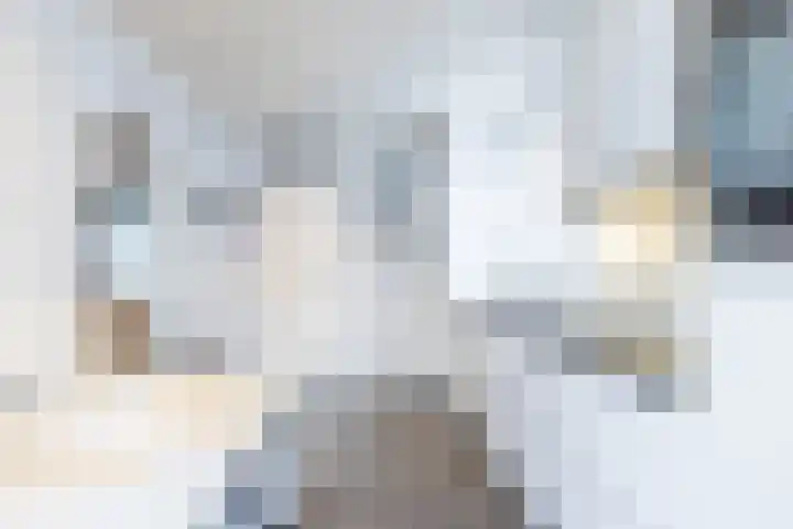 Dr. Poelsstraat 18 Hulsberg thumbnail 8