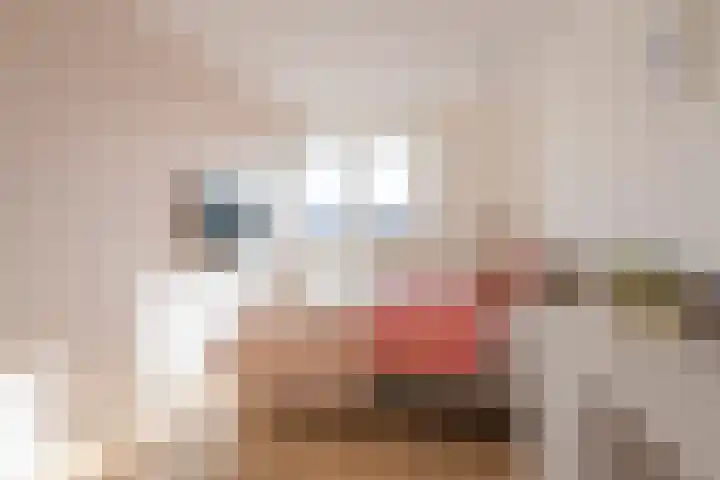 Dr.Poelsstraat 18 Kerkrade thumbnail 14