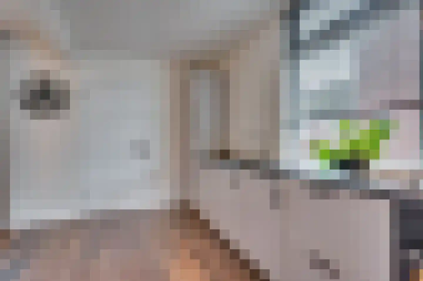 Dr. Poelsstraat 18 Maasbree thumbnail 14