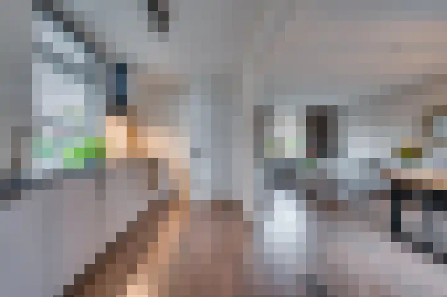 Dr. Poelsstraat 18 Maasbree thumbnail 15