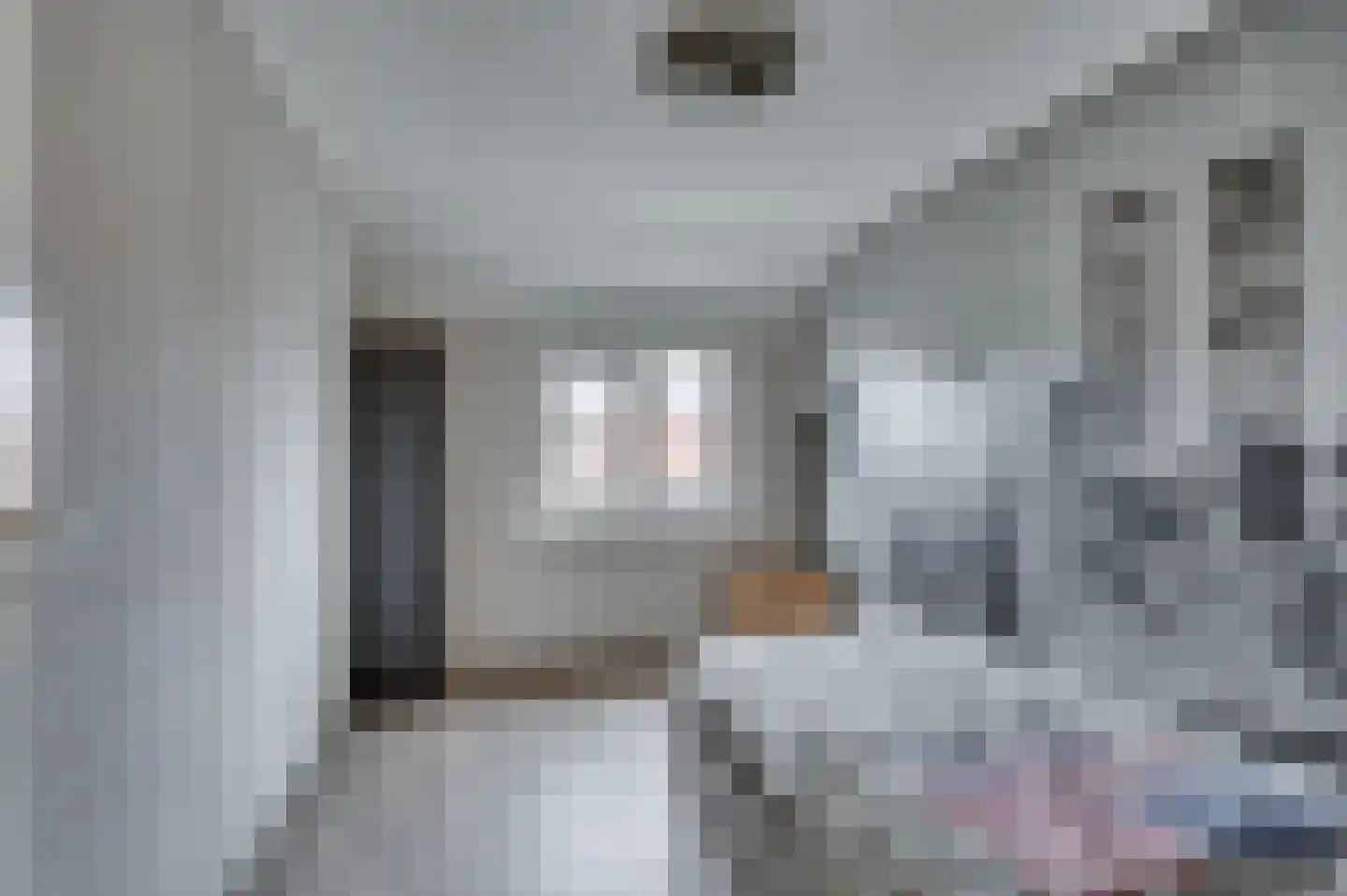 Dr. Poelsstraat 18 Maasbree thumbnail 27