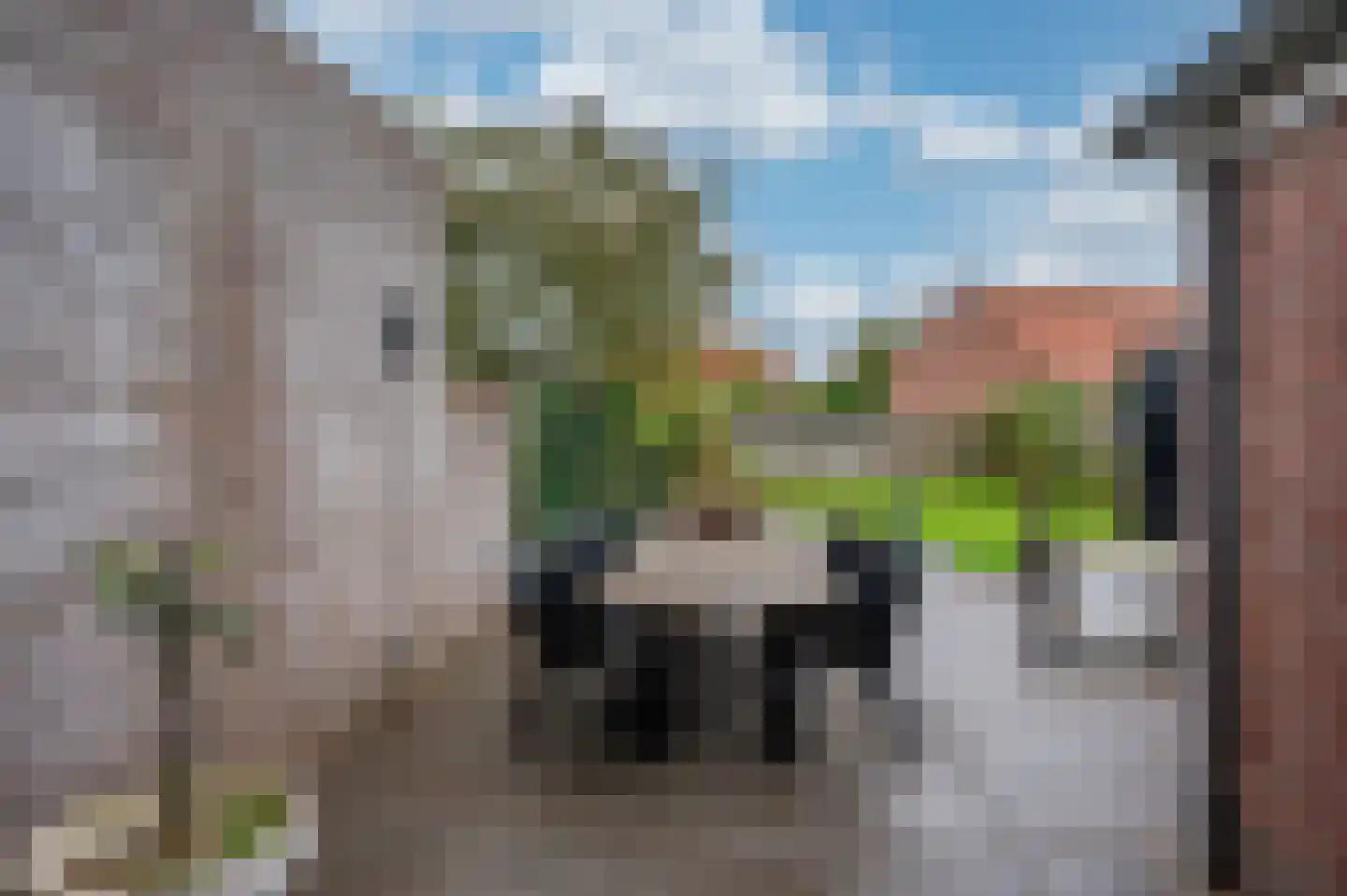 Dr. Poelsstraat 18 Maasbree thumbnail 31