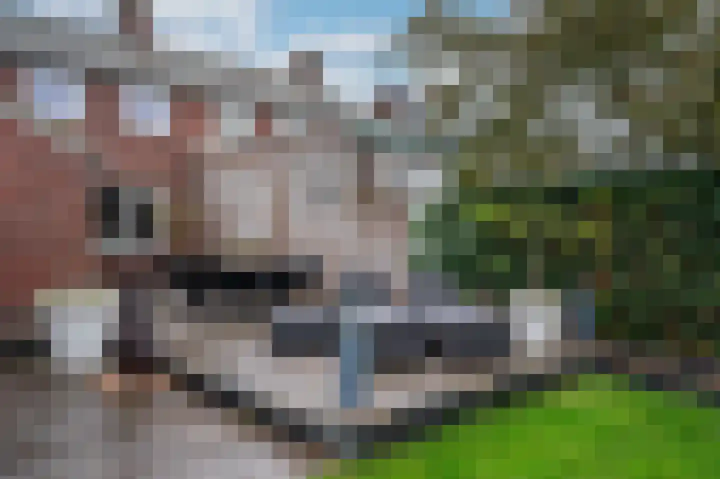 Dr. Poelsstraat 18 Maasbree thumbnail 39