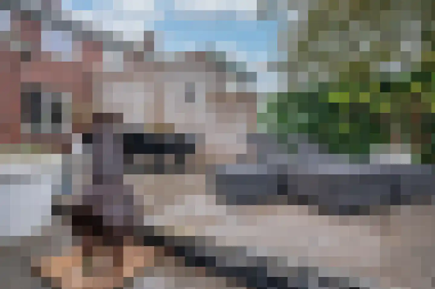 Dr. Poelsstraat 18 Maasbree thumbnail 40