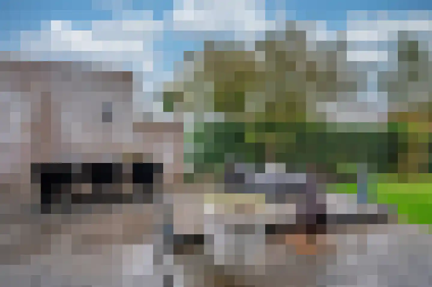 Dr. Poelsstraat 18 Maasbree thumbnail 41