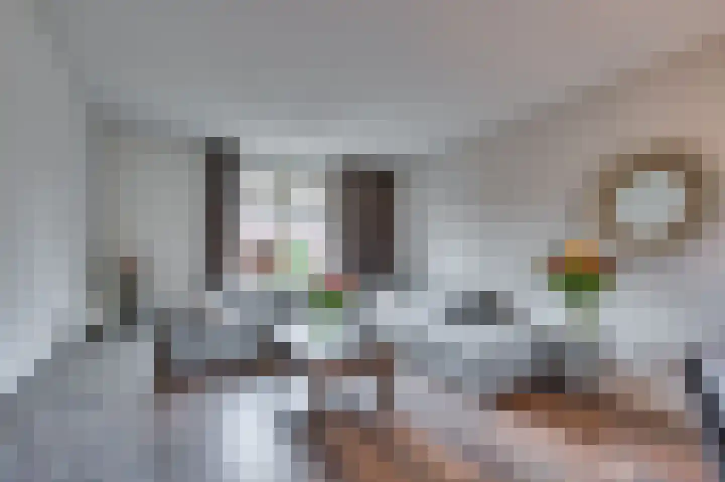 Dr. Poelsstraat 18 Maasbree thumbnail 5
