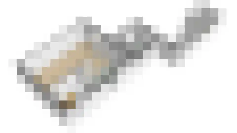 Dr. Poelsstraat 18 Maasbree thumbnail 52