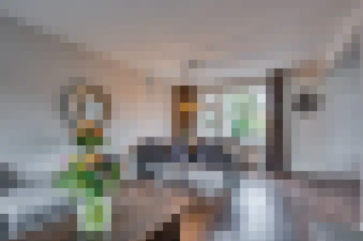 Dr. Poelsstraat 18 Maasbree thumbnail 7