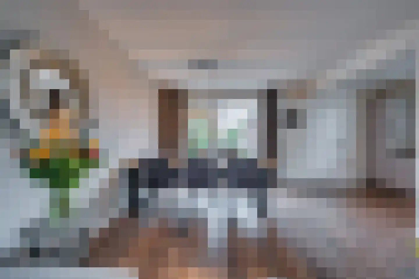 Dr. Poelsstraat 18 Maasbree thumbnail 8