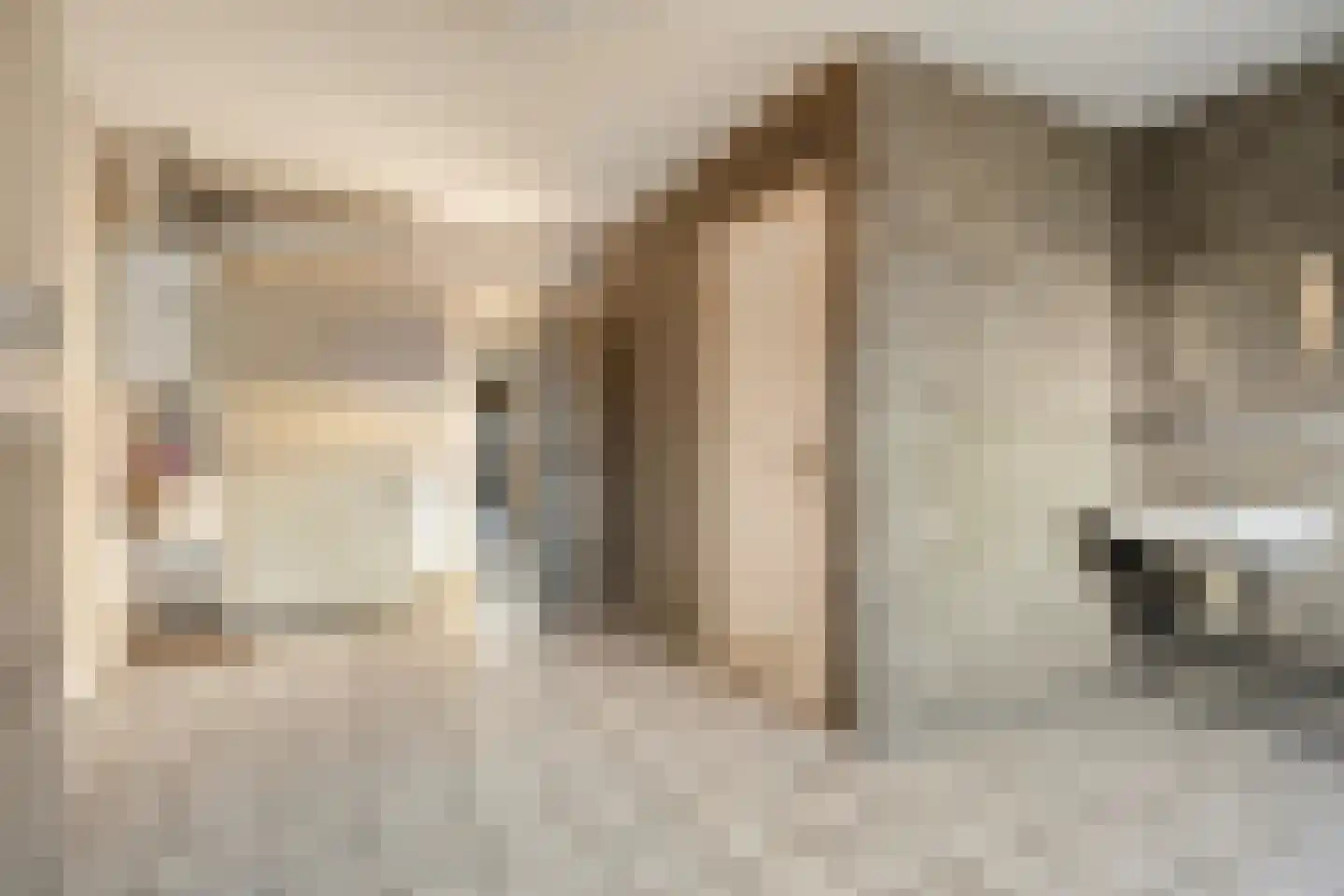 Dr.Poelsstraat 19 Herkenbosch thumbnail 16