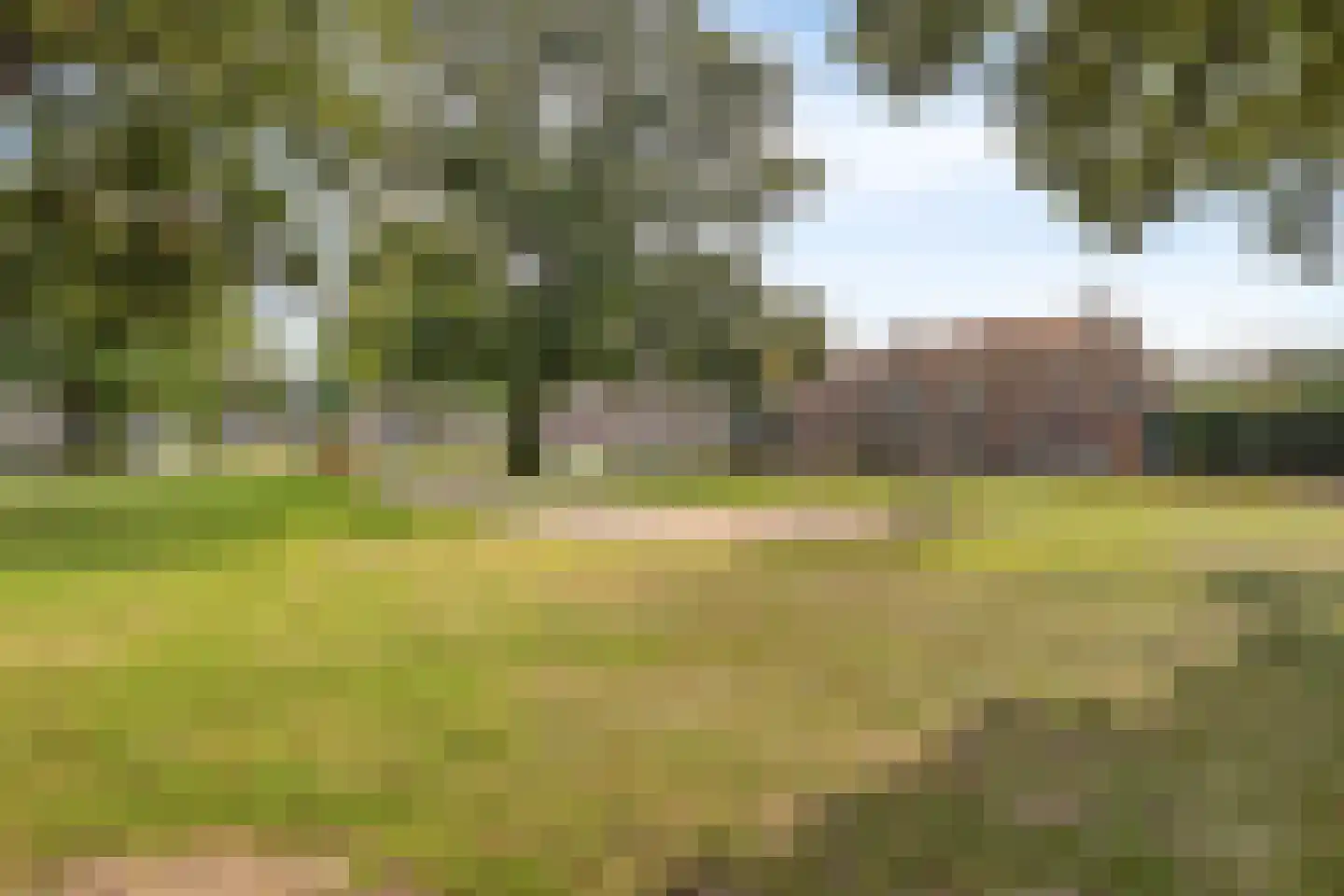 Dr.Poelsstraat 19 Herkenbosch thumbnail 31